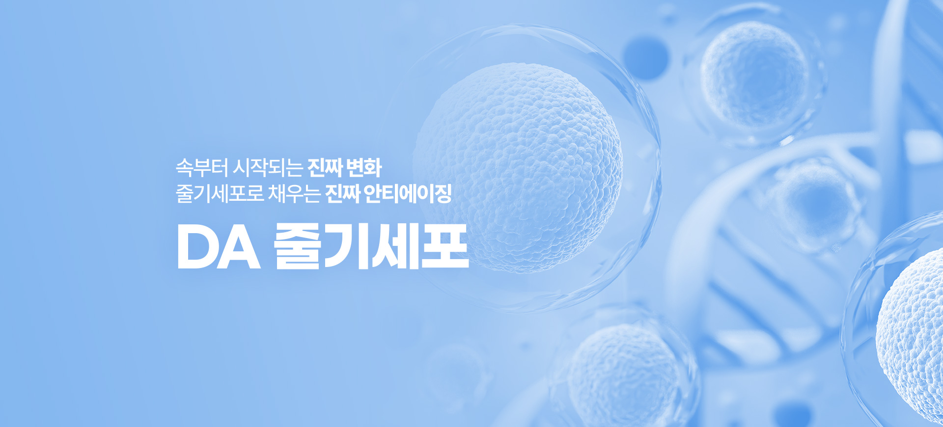 디에이스킨케이 스킨부스터 줄기세포