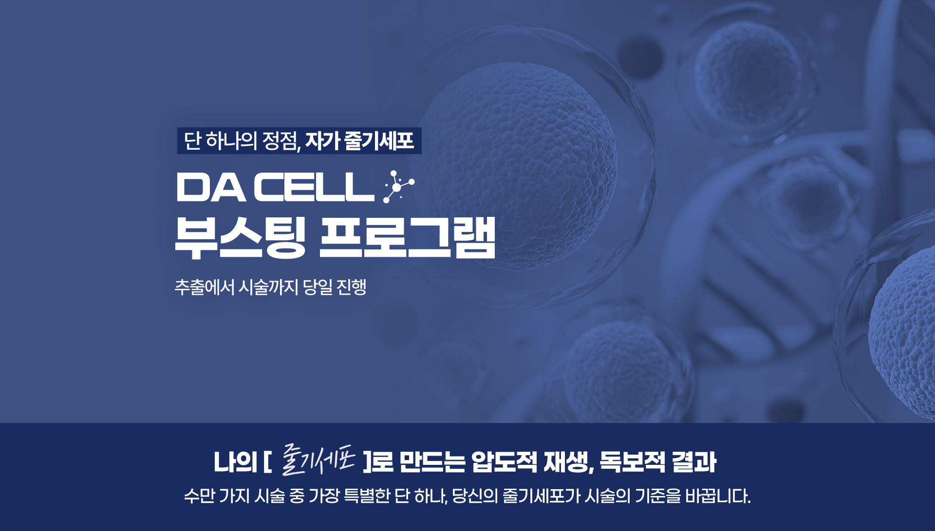 디에이스킨케이 스킨부스터 줄기세포