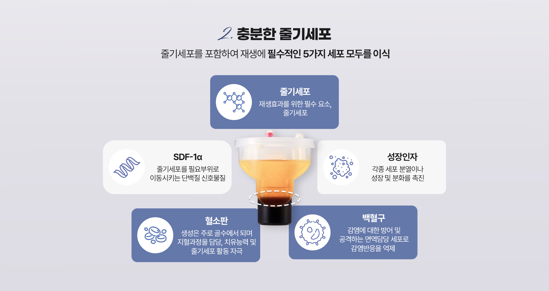 디에이스킨케이 스킨부스터 줄기세포