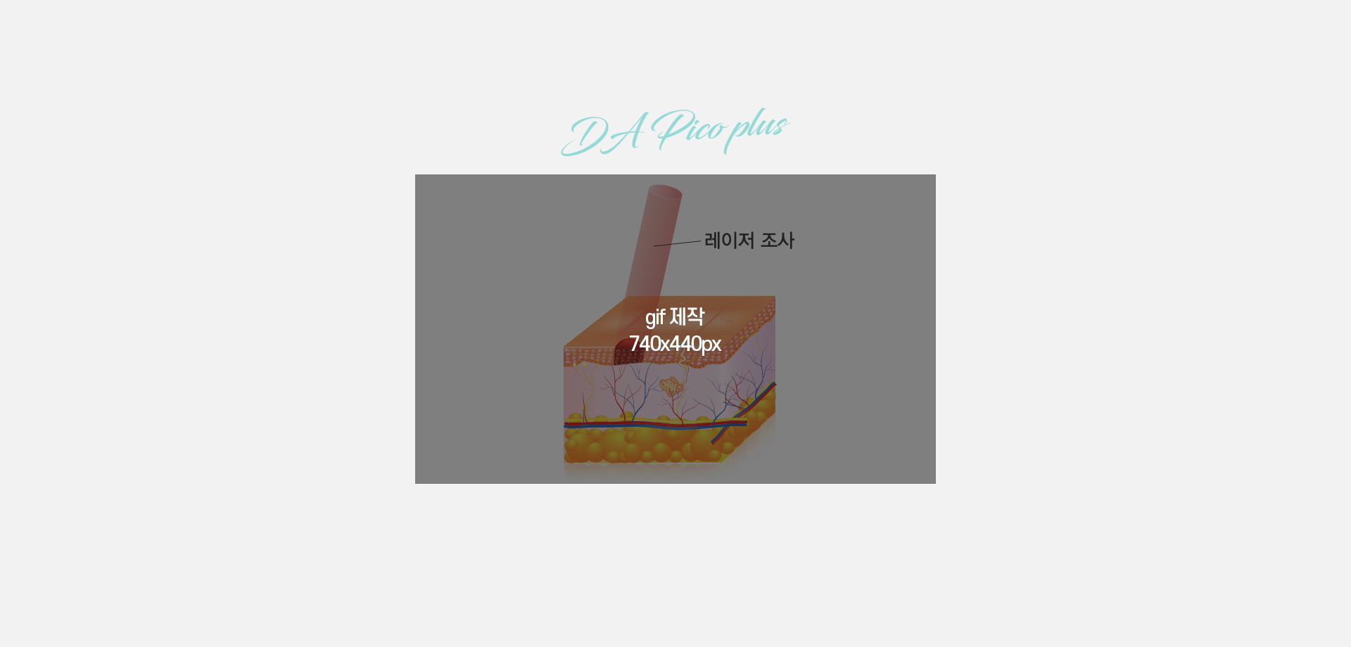 DA피코플러스