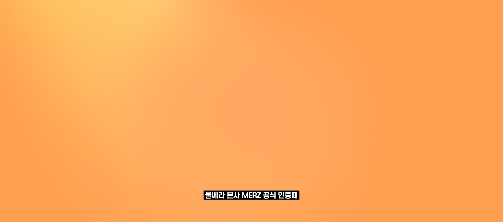 DA첫눈세미아웃