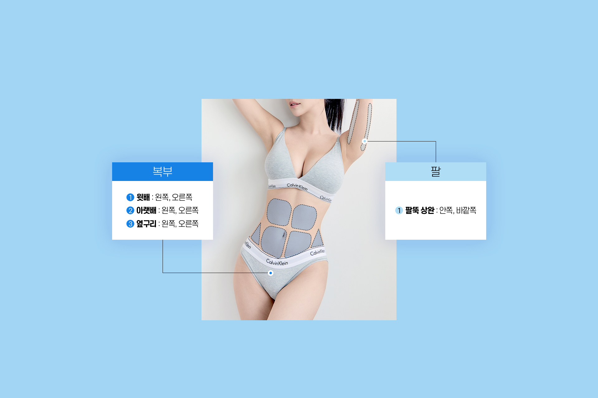 바디인모드