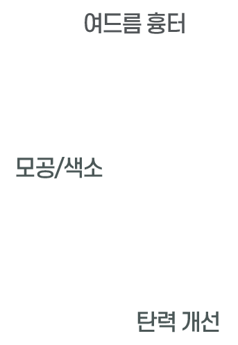 DA 포텐자